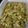 ☆ぷぅ♪☆'s cooksnap of when they made ブロッコリーの茎でザーサイ風.