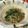 クック5NOFPV☆'s cooksnap of when they made ほうれん草としらすの胡麻和え.
