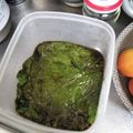 ひむとも's cooksnap of when they made 大葉のにんにく醤油漬け.