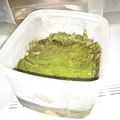ひむとも's cooksnap of when they made 大葉のにんにく醤油漬け.