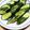 クックCKF4YZ☆'s cooksnap of when they made きゅうりの辛子漬け.