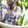 ぞうさん☆'s cooksnap of when they made 夏野菜の揚げ浸し.