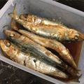 naponatu's cooksnap of when they made 骨まで食べれる☆いわしの煮付け☆.