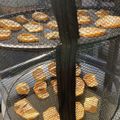 papikun's cooksnap of when they made 簡単☆富有柿のドライおつまみ（干し柿）.