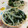 赤い電話's cooksnap of when they made もやしとワカメのナムル.