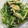クックmichi☆♪'s cooksnap of when they made 作り置き☆水菜の煮びたし.