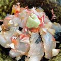 クックOWPJU3☆'s cooksnap of when they made マゴチの捌き方 刺身 お造り.