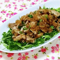 ｍａｒｉ♪'s cooksnap of when they made 豚肉の生姜みぞれ煮.