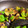 maru00000's cooksnap of when they made 我が家のナスとピーマンの味噌炒め.