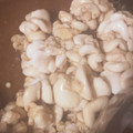 ふぁんころ's cooksnap of when they made 鰤の白子の煮付け！(鰤の白子処理付き).
