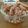 くmaki's cooksnap of when they made しゃけめんたいふりかけ.
