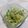すいーぷりん's cooksnap of when they made 新発田市人気給食レシピ！たくあん和え.