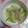 くネコまろす's cooksnap of when they made もやしときゅうりのナムル.