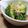 etsukoooo's cooksnap of when they made 白だし・粉チーズ【ブロッコリーのお浸し】.