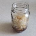 きらり流れ星's cooksnap of when they made 玉ねぎ 醤油漬.