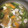 クックNYAGO☆'s cooksnap of when they made 5分で♪博多風[白濁]☃～❤ 鶏の水炊き❤ 時短料理♪♬.