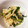 クックJEYVOU☆'s cooksnap of when they made 大根葉のエノキ炒め.