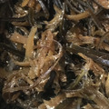 クック74OA1J☆'s cooksnap of when they made だしがら活用で旨♪煮干しと昆布の生姜佃煮.