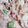 クックFCCUK6☆'s cooksnap of when they made 冬瓜のサラダ.