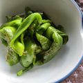 トミュー？'s cooksnap of when they made 信州伝統野菜で【ぼたごしょう焼き】唐辛子.