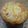 nぼっくす's cooksnap of when they made りんごのタルトタタン風★炊飯器ケーキ★.