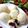 クックloveまま☆'s cooksnap of when they made 手作り☆レンコン入り肉まん.