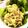 クックLCJQO8☆'s cooksnap of when they made アボカドのポテトサラダ.