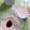 クックR3IGQD☆'s cooksnap of when they made 簡単10分★きなこプリン.
