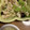 ◎みーちゃん◎'s cooksnap of when they made ささみとキャベツのレンジ蒸し.