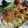 ATまま's cooksnap of when they made トースターで簡単☻鮭のマヨチーズ焼き.