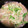 あやりん☆ママ's cooksnap of when they made ヨウサマのかぶと豚ひき肉のあんかけ.