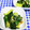 ととろ＆めい's cooksnap of when they made 簡単　たたききゅうりの梅味噌和え.