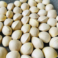 ♡マッキークッキング's cooksnap of when they made 銀杏【殻ごと・冷凍保存】…と殻むき.