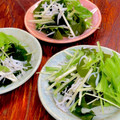 ルぴあ's cooksnap of when they made 簡単！水菜とわかめとしらすのマヨサラダ.
