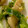 MULA's cooksnap of when they made ピーマンと鶏皮のさっぱり炒め.
