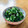ねっちゃんっ's cooksnap of when they made 間引き大根の漬物.