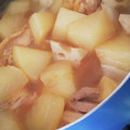 りよんじゃ's cooksnap of when they made 鶏と大根の炊いたん！.