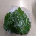 ミロ9607's cooksnap of when they made しそ巻き＊梅干しとツナマヨ入りおにぎり.