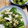 risuyama's cooksnap of when they made いかとブロッコリーのオイマヨ中華風炒め.