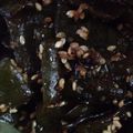 あかぷり's cooksnap of when they made 簡単！無限くきわかめ.