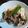 masaetsu's cooksnap of when they made 牛バラと木綿豆腐のバタポン.