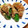 ｊｏｃｏｍｏｍｏｌａ's cooksnap of when they made 茄子と万願寺とうがらしの豚バラ巻き.