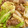 クックLDX6TD☆'s cooksnap of when they made 簡単！牛キャベツのレモン黒胡椒炒め.