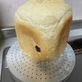 こぶたくんのママ's cooksnap of when they made 乳卵なし、ごはんで玄米パン、お店仕様です.