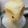 こぶたくんのママ's cooksnap of when they made 乳卵なし、ごはんで玄米パン、お店仕様です.
