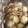 ヘルシーみちこ's cooksnap of when they made 昔ながらの☆里芋の煮っ転がし.