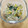 ロゼリン's cooksnap of when they made 水菜ツナ缶のゴマあえ♪簡単.