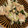 105♡'s cooksnap of when they made 副菜に！かぶとわかめのツナ和え.
