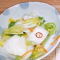 クックMKFJN1☆'s cooksnap of when they made 白菜の浅漬け.