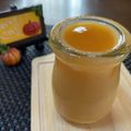 まろまろん♡'s cooksnap of when they made 材料2つ！超簡単柿プリン♡.